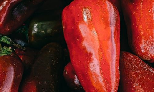 Home 32 piante di peperoncino